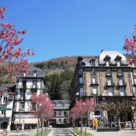 Mont-dore : T2 A 100m Du Marche Avec Wifi Au Pied Du Puy De Sancy - Fr-1-608-197 *
