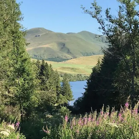 Mont-dore : T2 A 100m Du Marche Avec Wifi Au Pied Du Puy De Sancy - Fr-1-608-197 Apartment